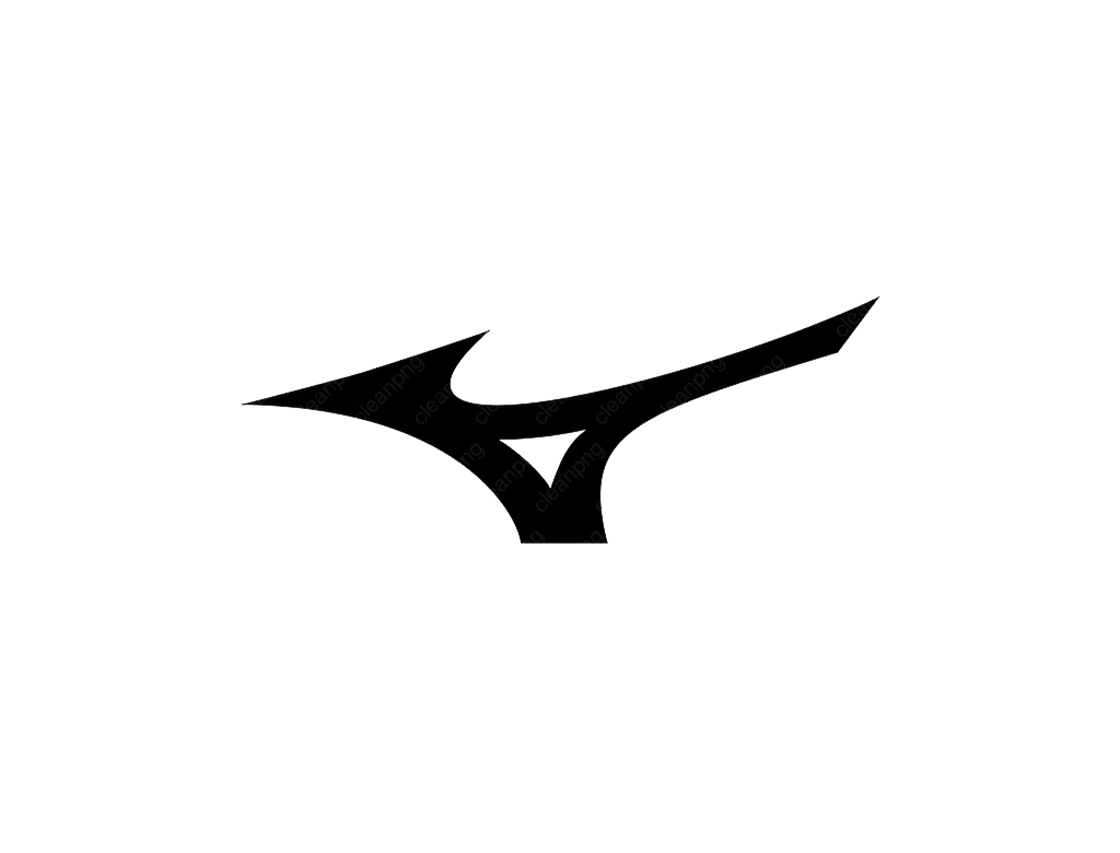 Mizuno